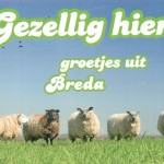 NL 1220419 NL 1220419