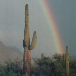 US 1664354 US 1664354